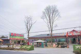 大石桥最新爆料,揭秘背后惊人真相